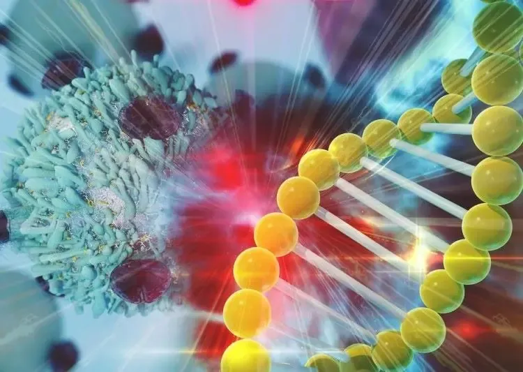 Arima Genomics 3D image of a gene