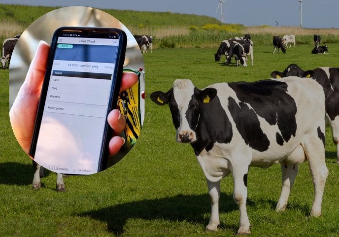 Dairy Herd Management Platform Migration to Amazon Aurora PostgreSQL