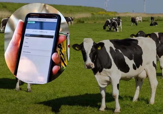Dairy Herd Management Platform Migration to Amazon Aurora PostgreSQL