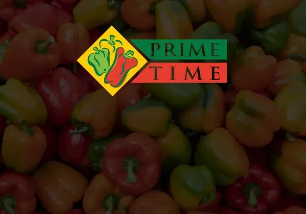 Data center migration: Prime Time shifts to OpEx model with significant savings case study